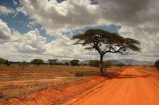 Tsavo East