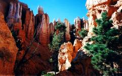 Bryce Canyon