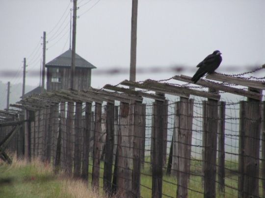 Majdanek