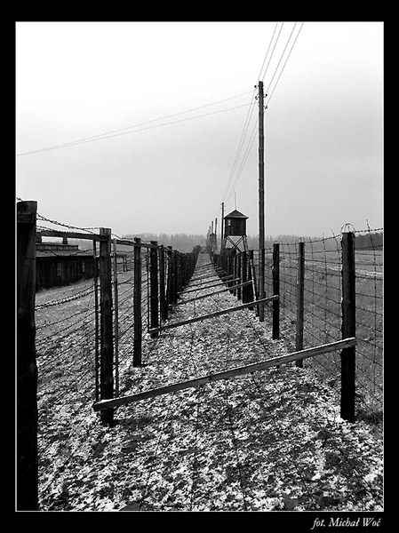 Majdanek #2