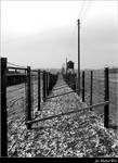 Majdanek #2