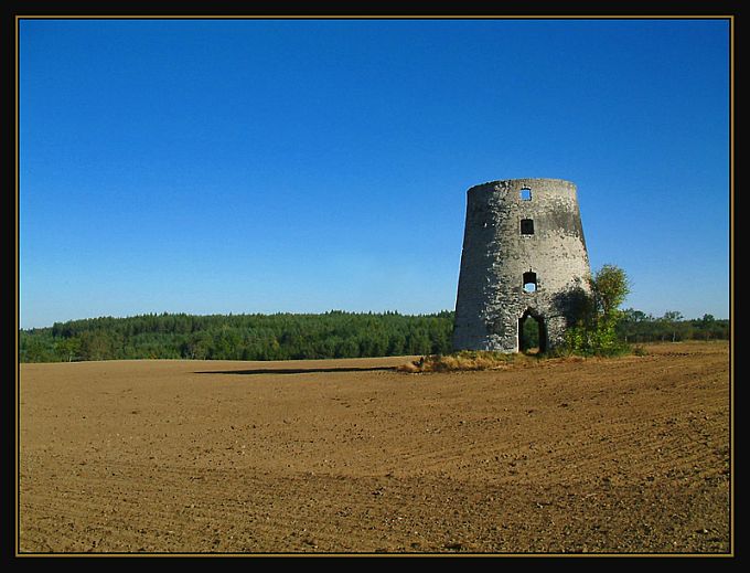 pużyce