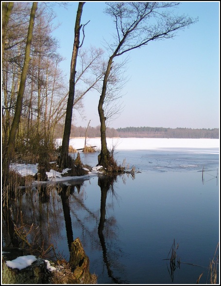 Przedwiośnie