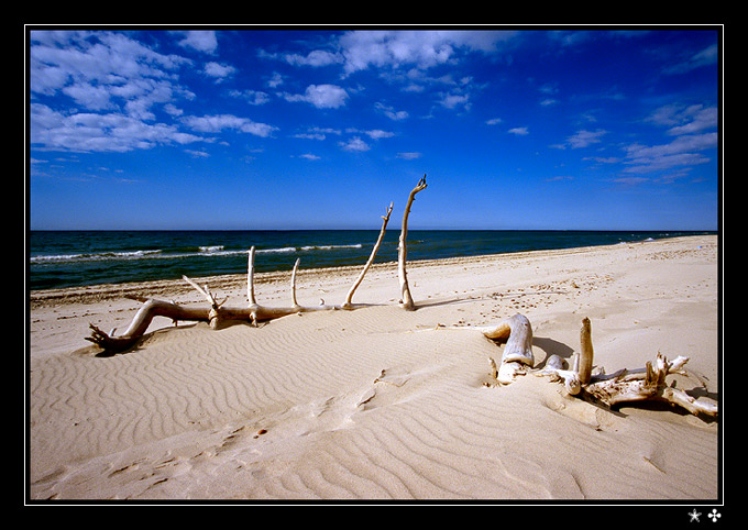 opowieści plażowe #5