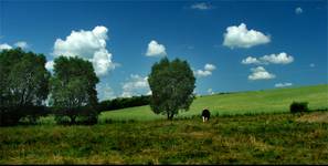 mazurska panorama