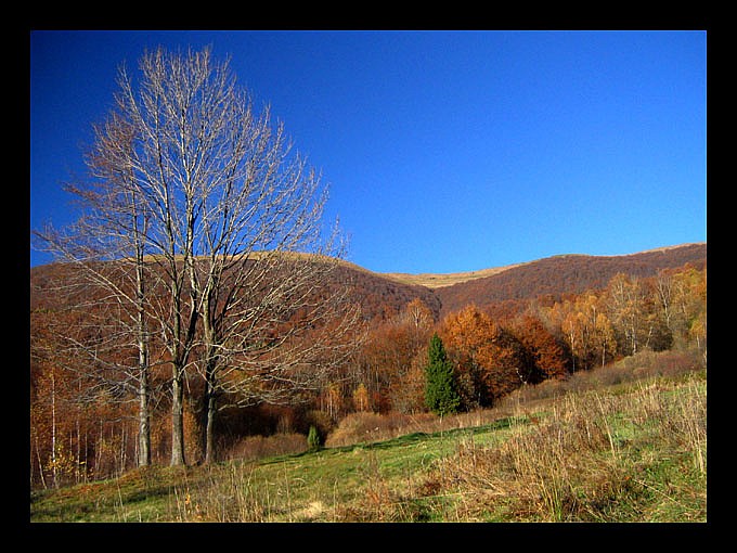 ...Kolorowe Bieszczady...