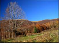 ...Kolorowe Bieszczady...