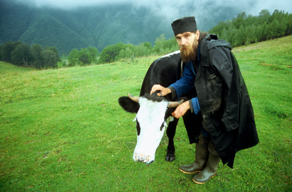 Transilvania#2 - CowPOP