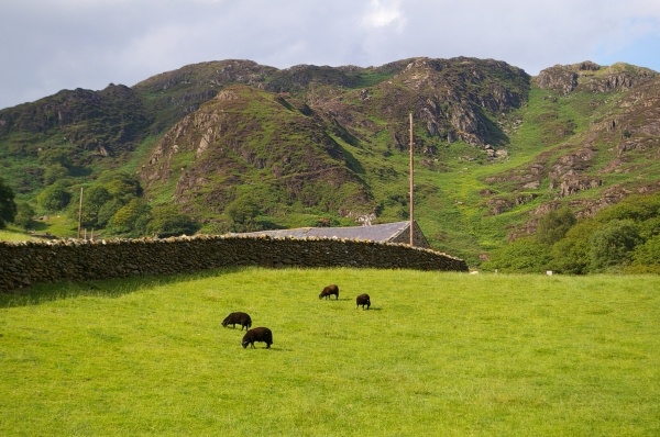 That´s how green it is in Wales.