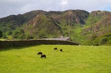 That´s how green it is in Wales.