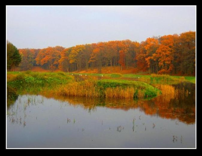 Pejzaż