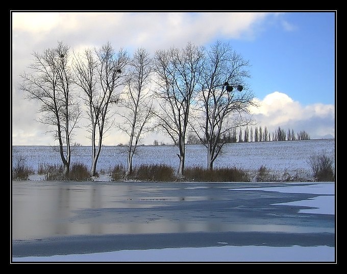 Pokochać zimę...