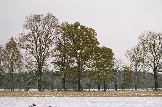 W szeregu zbiórka