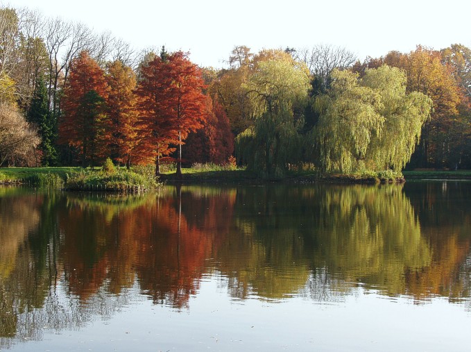 zwierciadłości pierwsze