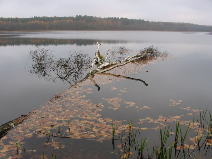 nad jeziorem jesienną porą...