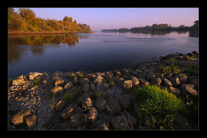 Ustrzelone jesienią