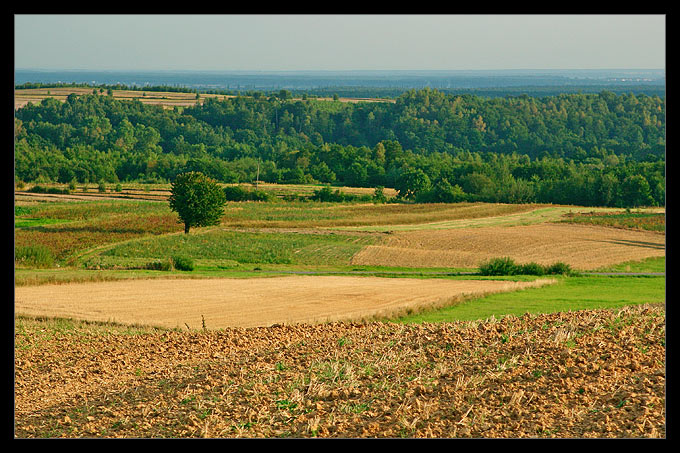 Wspomnienie późnego lata