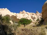 Rose Valley - Kapadocja, Turcja