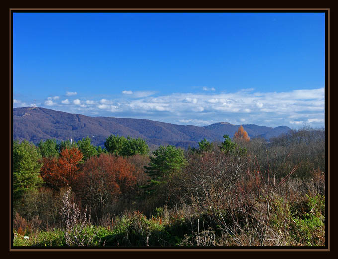 Bieszczady IV