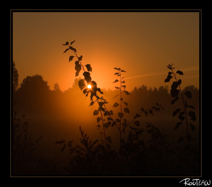 7 października 2005, 6:50