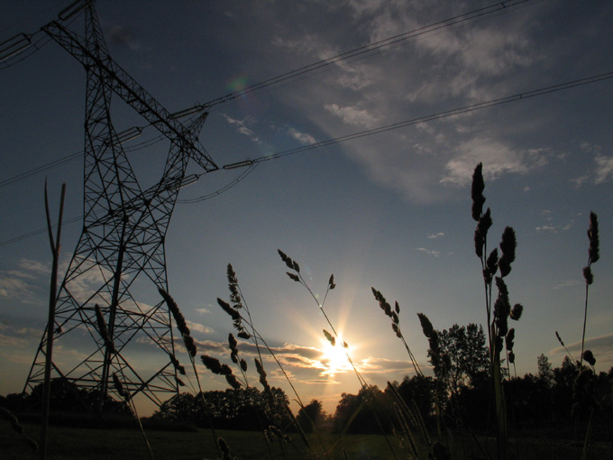 nature meets high voltage