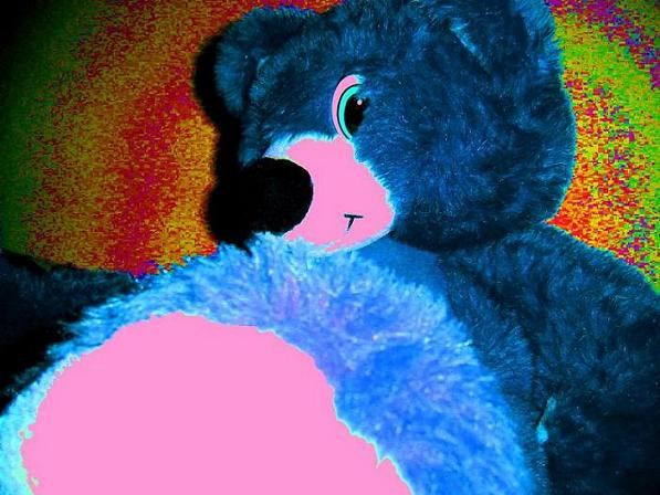 fUNnY bEAR