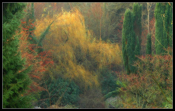 English Garden on December