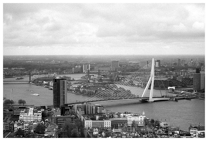 Rotterdam 2