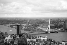 Rotterdam 2