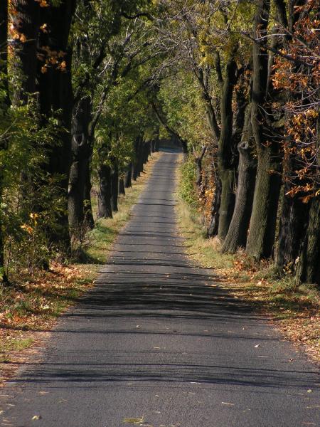 Taką drogą...