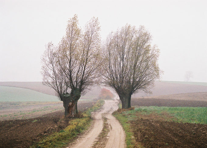 Sąsiedzi