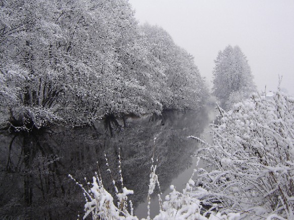 Piękno zimy.