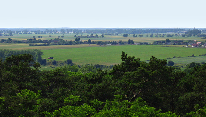 Wielkopolska