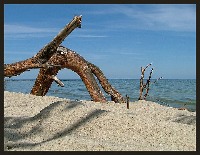 na gdyńskiej plaży