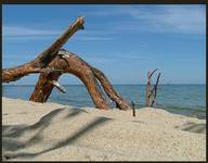 na gdyńskiej plaży