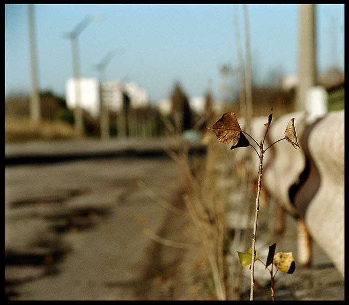 ...droga do zatracenia