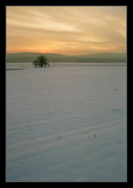 Pejzaż zimowy I