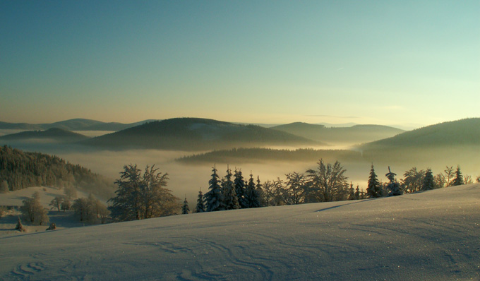 ...A ja ponad wszystkim...