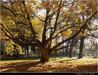 Park jesienią