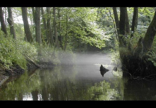 Mgły nad Parsętą