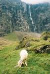 Cirque de Gavarnie