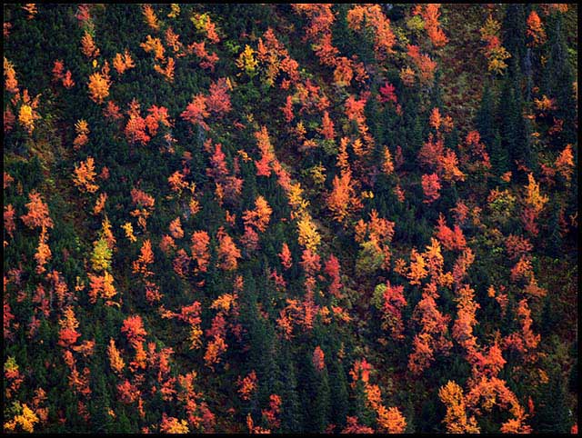 Tatry