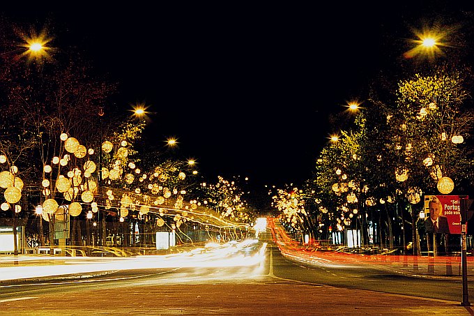 Avenida przed Świętami i wyborami