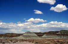 painted desert