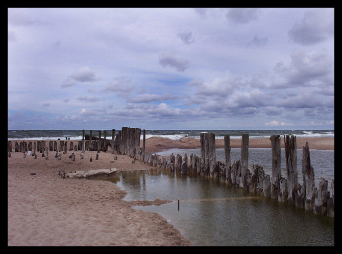 "Dzika Plaża"