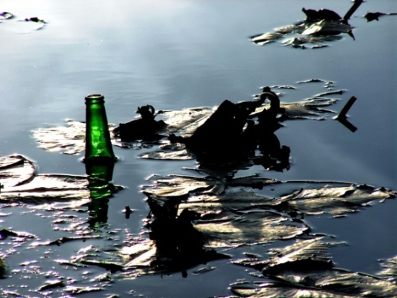 Greenpeace...?
