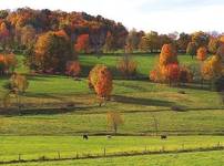 Mazury Garbate