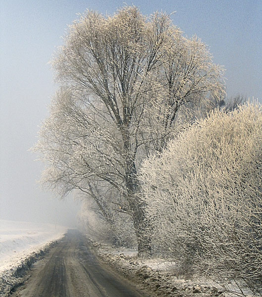 a mróz wciąż trzyma...