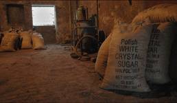 polish sugar...