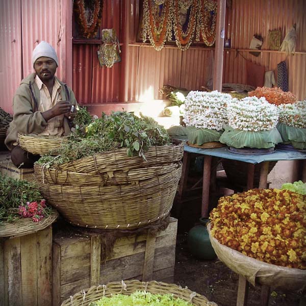 Mysore flower & vegetable market